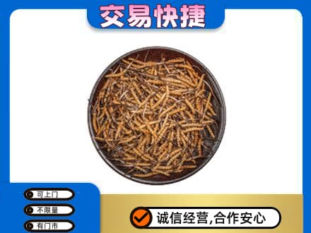 淮南寿县高价回收散虫草